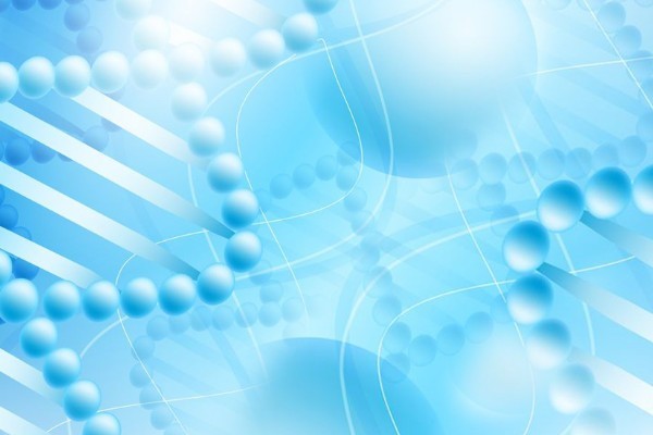 La Regione Abruzzo finanzia la SIS per lo studio dei polimorfismi genetici La Regione Abruzzo finanzia la SIS per lo studio dei polimorfismi genetici